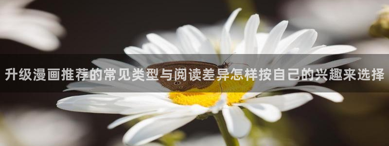 七七漫画阅读入口