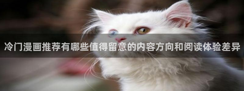 七七漫画作品推荐:冷门漫画推荐有哪些值得留意的内容方向和阅读体验差异